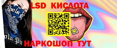 ПСИЛОЦИБИНОВЫЕ ГРИБЫ Кандалакша